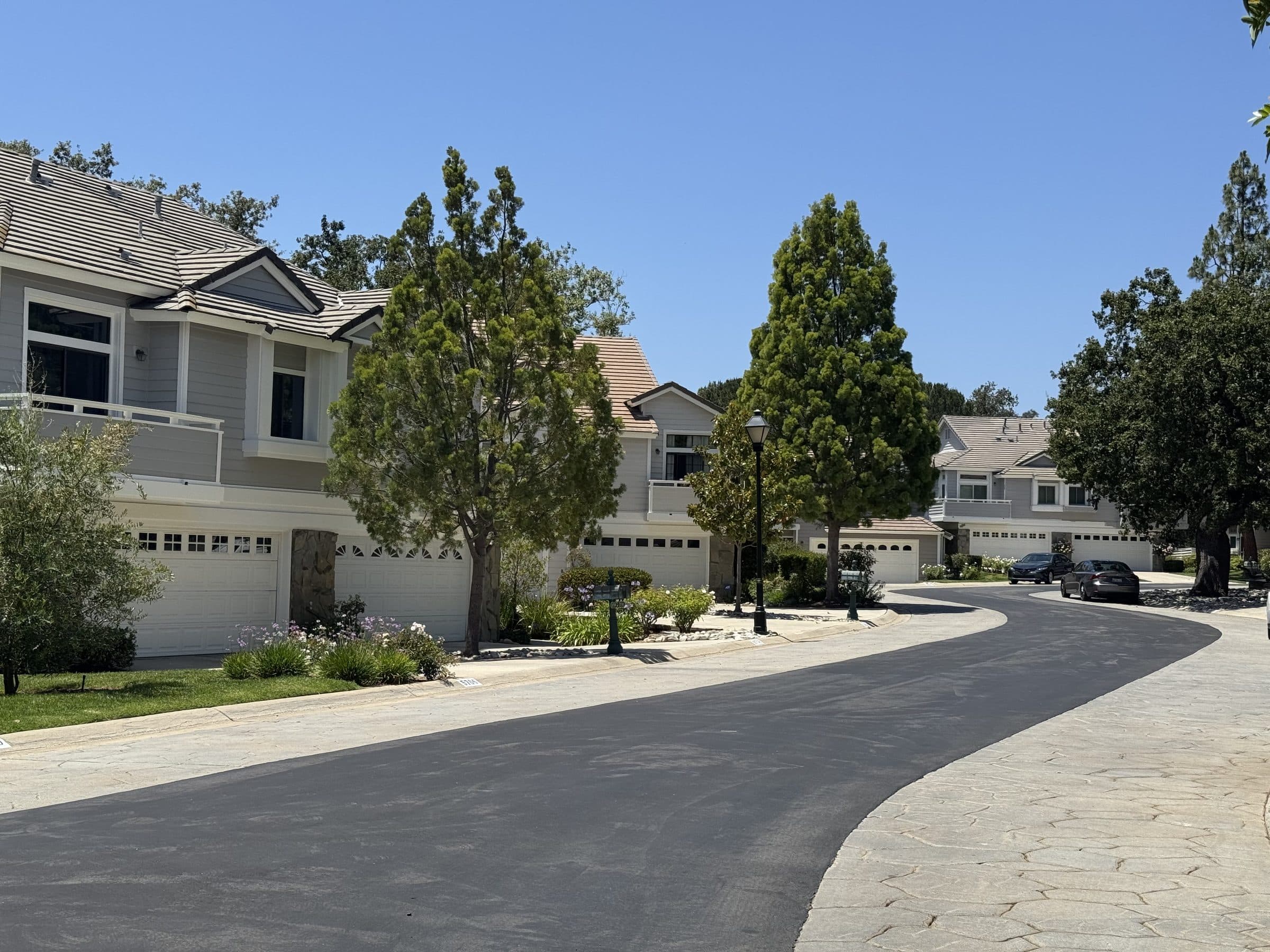 The curving drive and the garage frontage